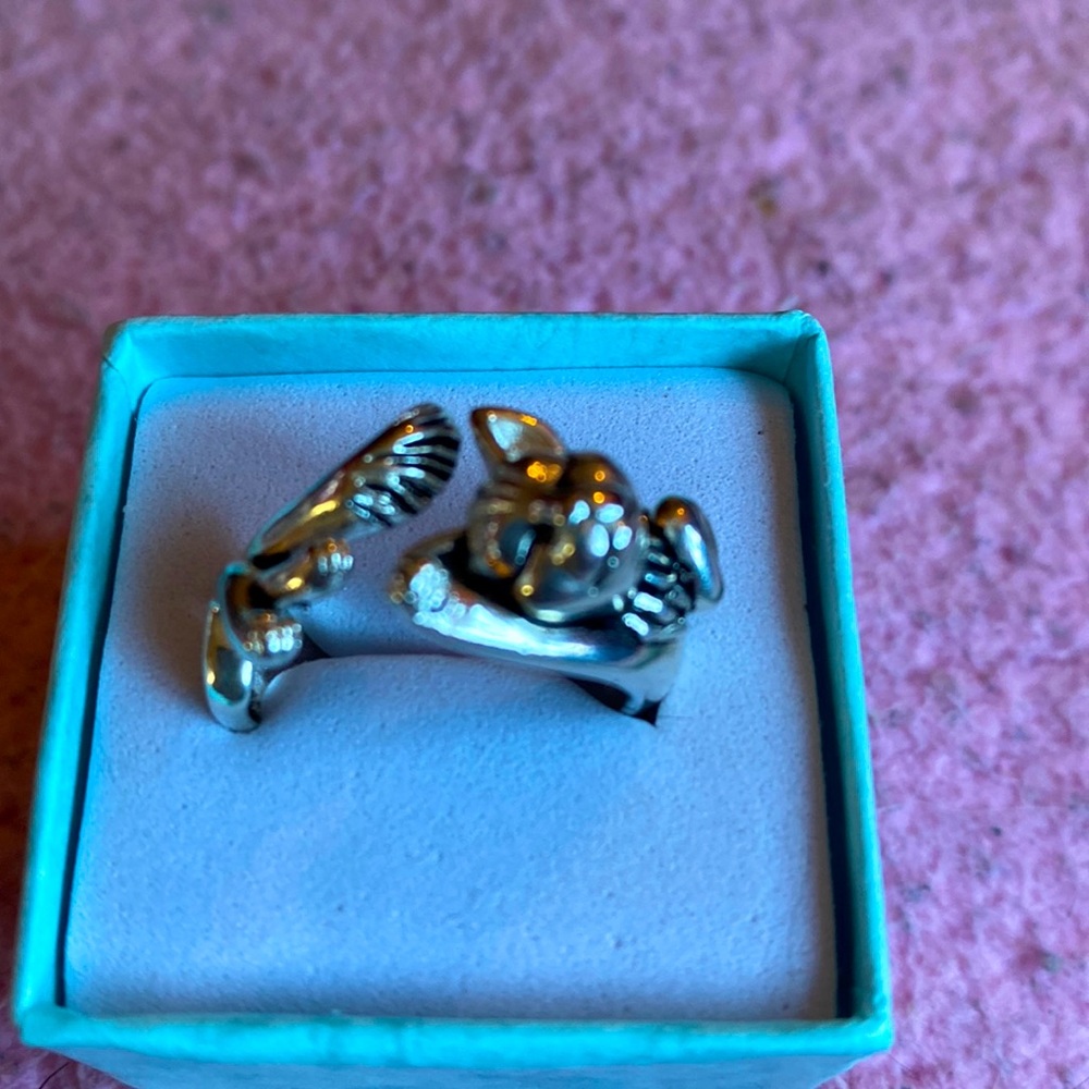 Cat ring